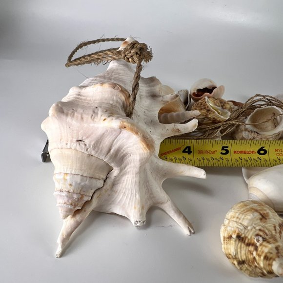 Hanging Sea Shell Mobile Wind Chime Chandelier Boho Nautical Beach Decor - Picture 9 of 13